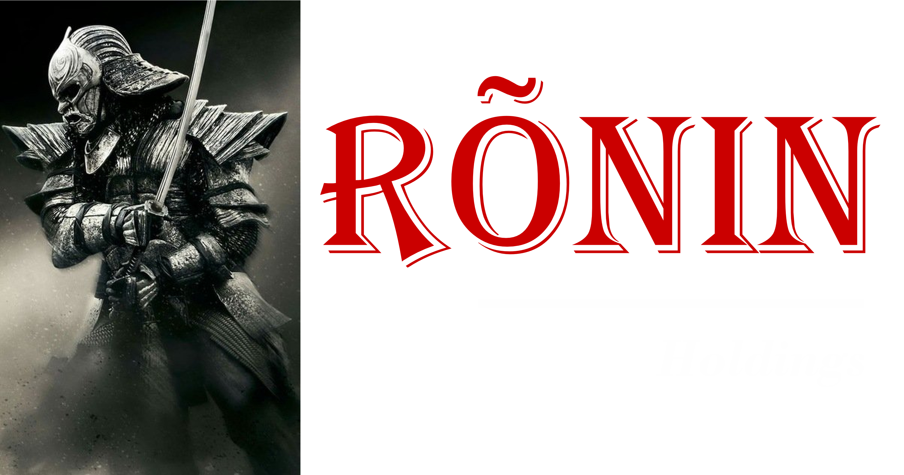 RONIN HOLDINGS